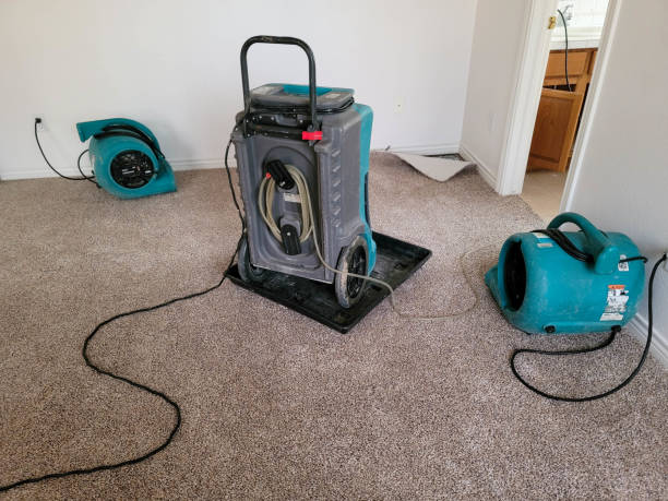  Wimberley, TX Water damage restoration Pros