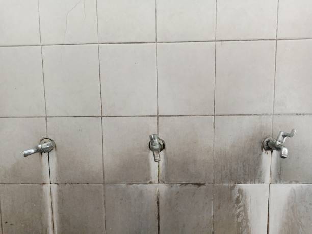 Best Local water damage restoration  in Wimberley, TX