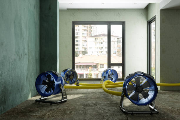 Best Water damage restoration company  in Wimberley, TX